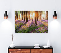 Obraz Lesné kvety 1787